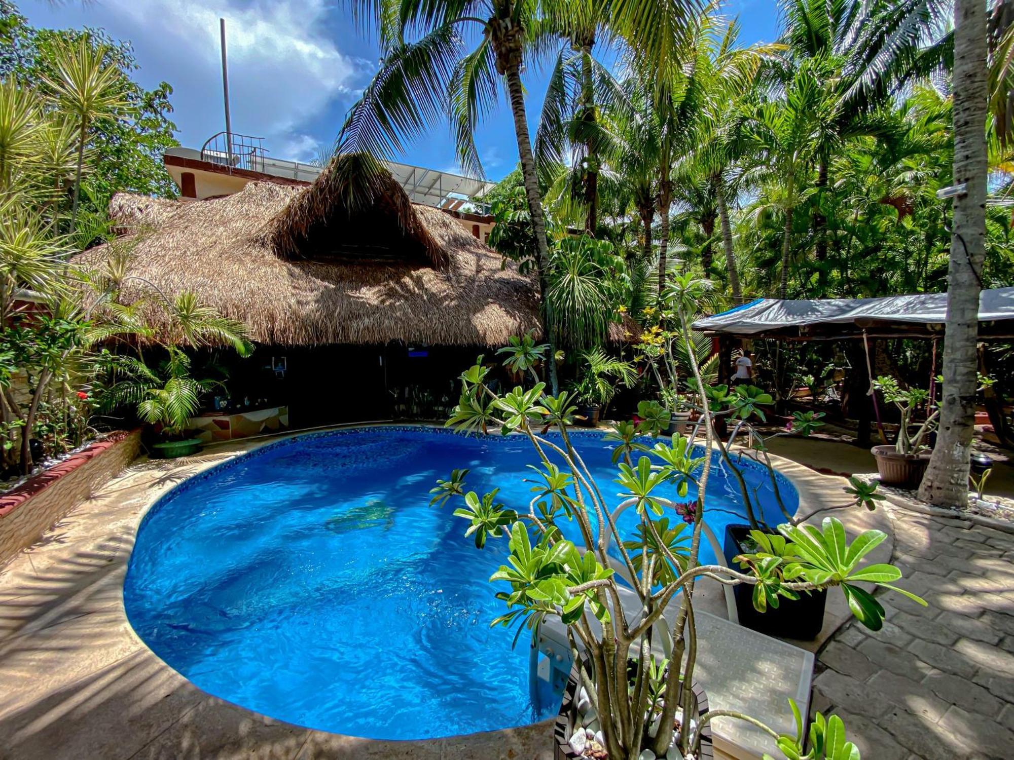 Cocos Cabanas Playa Del Carmen Adults Only Екстериор снимка