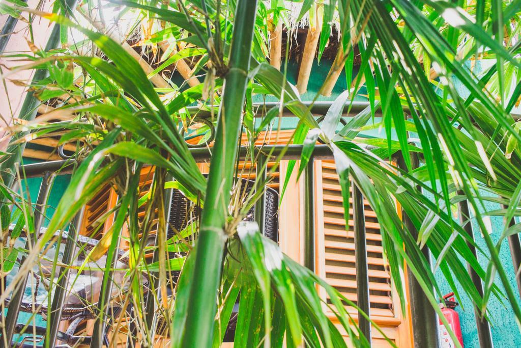 Cocos Cabanas Playa Del Carmen Adults Only Екстериор снимка
