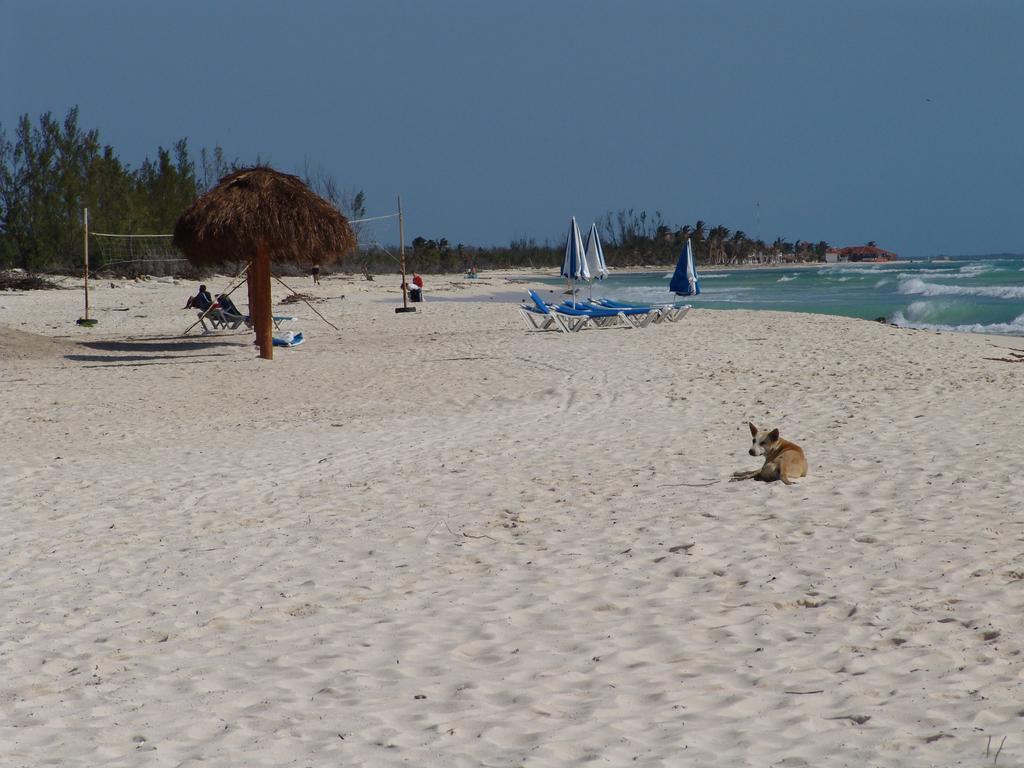 Cocos Cabanas Playa Del Carmen Adults Only Екстериор снимка